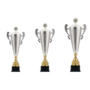 Alternative view of Trofee (64 t/m 78cm)